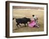 Bullfighting, Plaza de Toros, Ronda, Andalusia, Spain-null-Framed Photographic Print