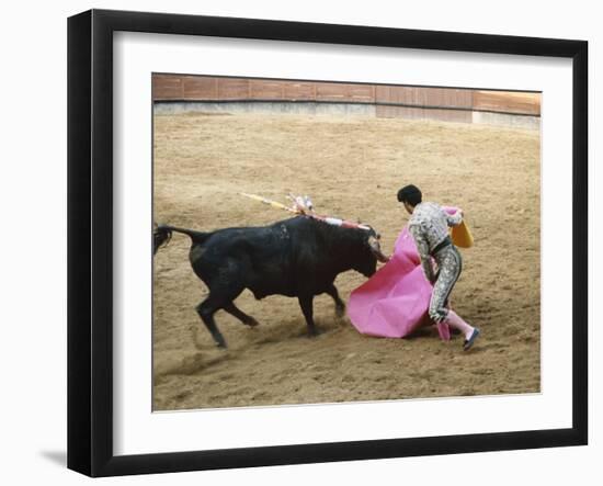 Bullfighting, Plaza de Toros, Ronda, Andalusia, Spain-null-Framed Photographic Print