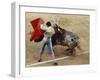 Bullfighting, Plaza de Toros, Ronda, Andalusia, Spain-null-Framed Photographic Print