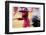 Bullfighting, 'Tercio de banderillas' stage of bullfight-Fabio Pupin-Framed Photographic Print