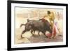 Bullfighting: The Kill-null-Framed Art Print