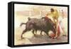 Bullfighting: The Kill-null-Framed Stretched Canvas