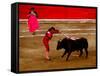 Bullfights Begin with Bleeding of the Bull, San Luis Potosi, Mexico-Russell Gordon-Framed Stretched Canvas