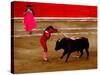 Bullfights Begin with Bleeding of the Bull, San Luis Potosi, Mexico-Russell Gordon-Stretched Canvas