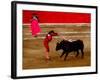 Bullfights Begin with Bleeding of the Bull, San Luis Potosi, Mexico-Russell Gordon-Framed Photographic Print