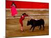 Bullfights Begin with Bleeding of the Bull, San Luis Potosi, Mexico-Russell Gordon-Mounted Photographic Print