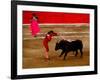 Bullfights Begin with Bleeding of the Bull, San Luis Potosi, Mexico-Russell Gordon-Framed Photographic Print