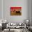 Bullfights Begin with Bleeding of the Bull, San Luis Potosi, Mexico-Russell Gordon-Photographic Print displayed on a wall