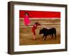 Bullfights Begin with Bleeding of the Bull, San Luis Potosi, Mexico-Russell Gordon-Framed Photographic Print