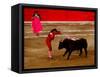 Bullfights Begin with Bleeding of the Bull, San Luis Potosi, Mexico-Russell Gordon-Framed Stretched Canvas