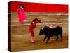 Bullfights Begin with Bleeding of the Bull, San Luis Potosi, Mexico-Russell Gordon-Stretched Canvas