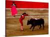 Bullfights Begin with Bleeding of the Bull, San Luis Potosi, Mexico-Russell Gordon-Stretched Canvas