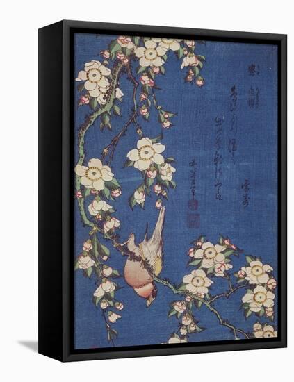 Bullfinch and weeping cherry-tree, pub. c.1834-Katsushika Hokusai-Framed Stretched Canvas