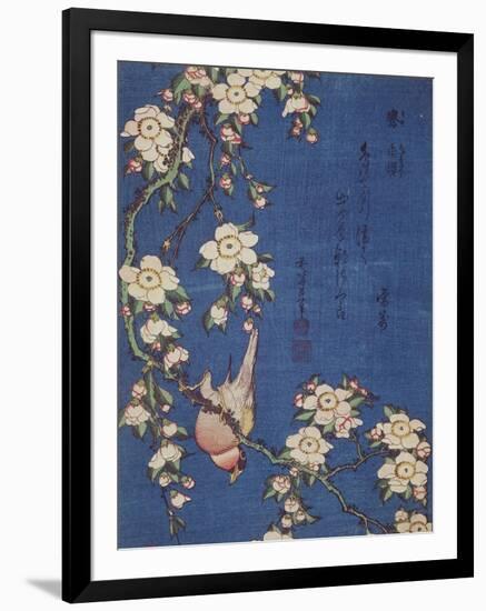 Bullfinch and weeping cherry-tree, pub. c.1834-Katsushika Hokusai-Framed Giclee Print