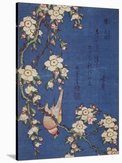 Bullfinch and weeping cherry-tree, pub. c.1834-Katsushika Hokusai-Stretched Canvas