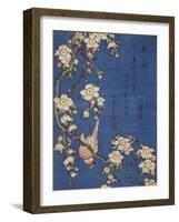 Bullfinch and weeping cherry-tree, pub. c.1834-Katsushika Hokusai-Framed Giclee Print