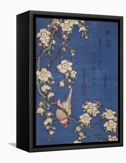 Bullfinch and weeping cherry-tree, pub. c.1834-Katsushika Hokusai-Framed Stretched Canvas