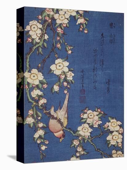 Bullfinch and weeping cherry-tree, pub. c.1834-Katsushika Hokusai-Stretched Canvas