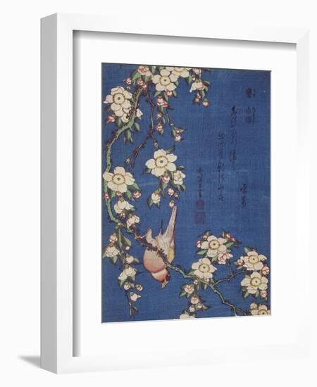 Bullfinch and weeping cherry-tree, pub. c.1834-Katsushika Hokusai-Framed Giclee Print