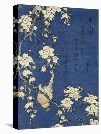 Bullfinch and Weeping Cherry (Uso, shidarezakura), from an untitled series of flowers and birds-Katsushika Hokusai-Stretched Canvas