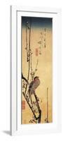 Bullfinch Perching on a Branch of a Japanese Plum Tree-null-Framed Premium Giclee Print