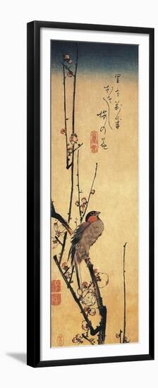 Bullfinch Perching on a Branch of a Japanese Plum Tree-null-Framed Premium Giclee Print