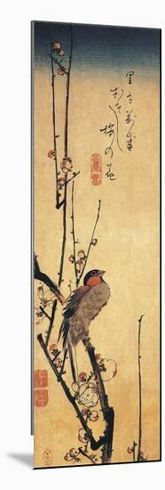 Bullfinch Perching on a Branch of a Japanese Plum Tree-null-Mounted Premium Giclee Print