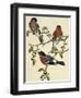 Bullfinch (Pyrrhula Pyrrhula) (1804-1881). United Kingdom, 19th Century-John Gould-Framed Giclee Print