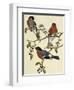 Bullfinch (Pyrrhula Pyrrhula) (1804-1881). United Kingdom, 19th Century-John Gould-Framed Giclee Print