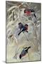 Bullfinches by Kongsrud-Anders Kongsrud-Mounted Giclee Print