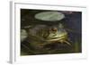 Bullfrog-Lynn M^ Stone-Framed Photographic Print