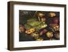 Bullfrog-Lynn M^ Stone-Framed Photographic Print