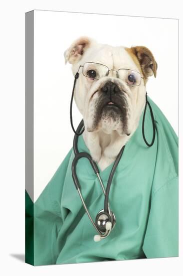 Bullin Vets Scrubs Wearing Glasses and Stethoscope-null-Stretched Canvas