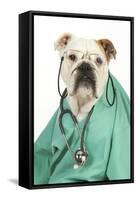 Bullin Vets Scrubs Wearing Glasses and Stethoscope-null-Framed Stretched Canvas