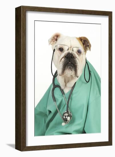 Bullin Vets Scrubs Wearing Glasses and Stethoscope-null-Framed Photographic Print