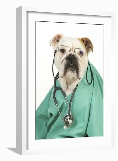 Bullin Vets Scrubs Wearing Glasses and Stethoscope-null-Framed Photographic Print