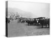 Bullock Carriages, Madeira, Portugal, C1920s-C1930s-null-Stretched Canvas