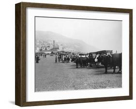 Bullock Carriages, Madeira, Portugal, C1920s-C1930s-null-Framed Photographic Print