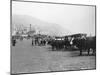 Bullock Carriages, Madeira, Portugal, C1920s-C1930s-null-Mounted Photographic Print