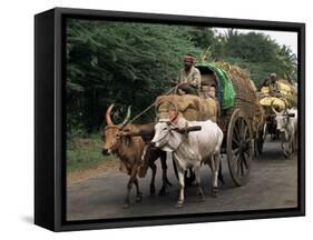 Bullock Carts are the Main Means of Transport for Local Residents, Tamil Nadu State, India-R H Productions-Framed Stretched Canvas