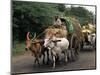 Bullock Carts are the Main Means of Transport for Local Residents, Tamil Nadu State, India-R H Productions-Mounted Photographic Print