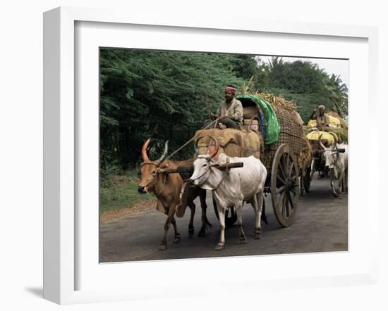 Bullock Carts are the Main Means of Transport for Local Residents, Tamil Nadu State, India-R H Productions-Framed Photographic Print