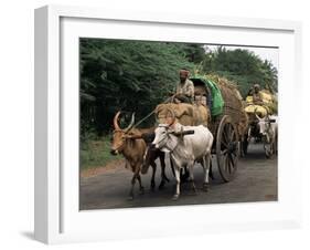 Bullock Carts are the Main Means of Transport for Local Residents, Tamil Nadu State, India-R H Productions-Framed Photographic Print