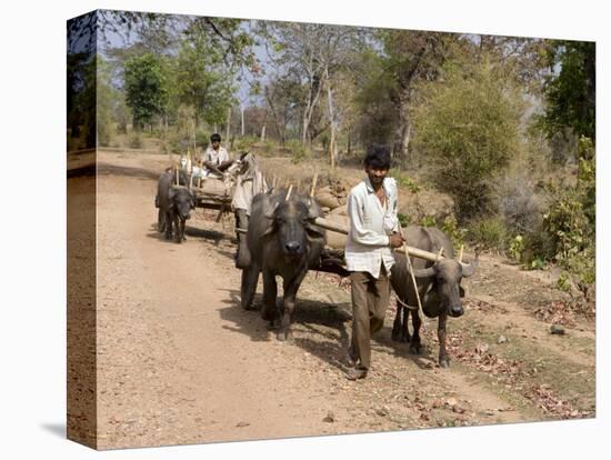 Bullock Carts, Tala, Bandhavgarh National Park, Madhya Pradesh, India-Thorsten Milse-Stretched Canvas