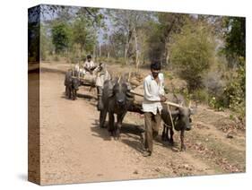 Bullock Carts, Tala, Bandhavgarh National Park, Madhya Pradesh, India-Thorsten Milse-Stretched Canvas