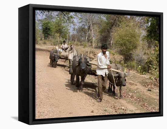 Bullock Carts, Tala, Bandhavgarh National Park, Madhya Pradesh, India-Thorsten Milse-Framed Stretched Canvas