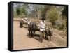 Bullock Carts, Tala, Bandhavgarh National Park, Madhya Pradesh, India-Thorsten Milse-Framed Stretched Canvas