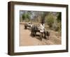 Bullock Carts, Tala, Bandhavgarh National Park, Madhya Pradesh, India-Thorsten Milse-Framed Photographic Print