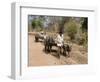 Bullock Carts, Tala, Bandhavgarh National Park, Madhya Pradesh, India-Thorsten Milse-Framed Photographic Print