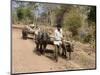 Bullock Carts, Tala, Bandhavgarh National Park, Madhya Pradesh, India-Thorsten Milse-Mounted Photographic Print